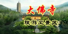 成人黄色动态视频中国浙江-新昌大佛寺旅游风景区